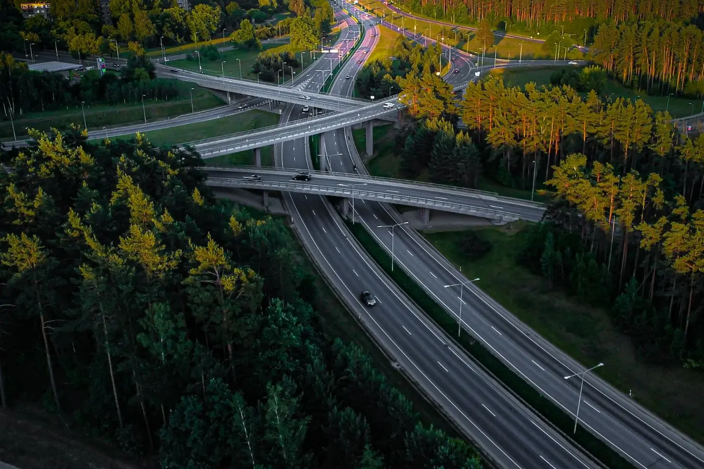 Virš miško iškilę kelių viadukai jungia kelias automagistrales.