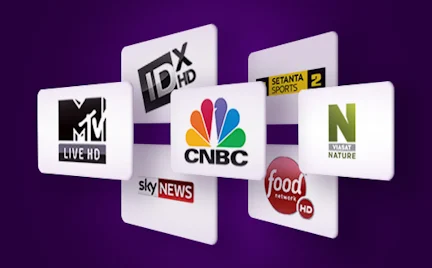 TV kanalų kortelės ant violetinio fono: MTV Live HD, ID X HD, CNBC, Sky News, Food Network HD, Viasat Nature ir Setanta Sports 2