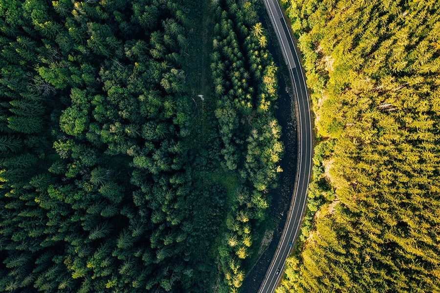 Žalias spygliuočių miškas, matomas iš viršaus, per kurį kerta važiuojamoji kelio dalis automobiliams