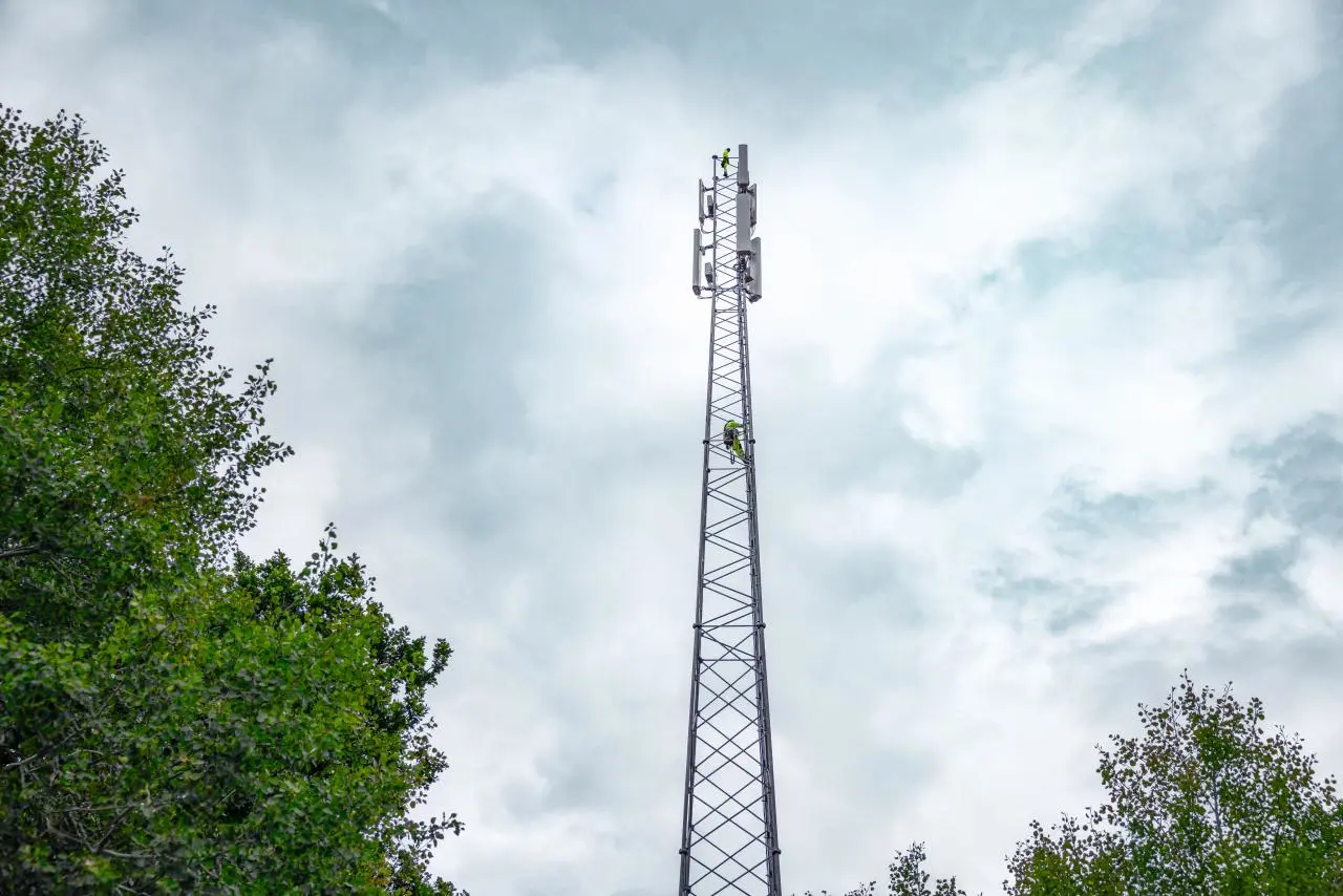 Aukštas telefono ryšio bokštas tarp medžių.